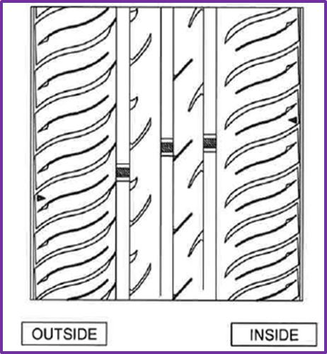 nexen1.jpg