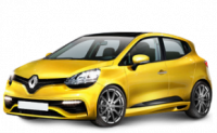 Шины для RENAULT Clio RS  R 2009–2013