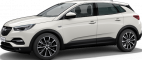 Шины для OPEL Grandland X