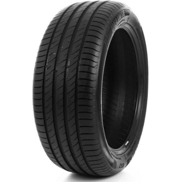 Delinte DS-2 SUV 295/40 R21 111W